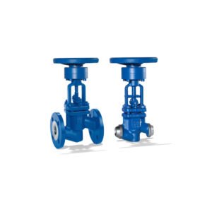 NORI 40 ZXLF/ZXSF globe valve