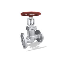 BOACHEM-ZXAB globe valve