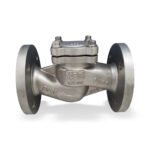 non-return valve BOACHEM-RXA lift check valve