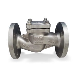 BOACHEM-RXA non-return valve