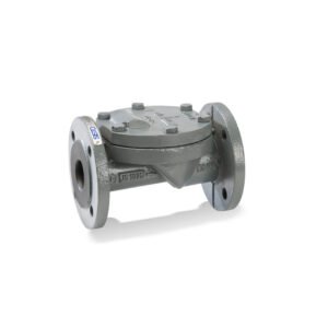 SISTO-RSKNA check valve