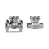 STAAL 100 AKK/AKKS check valve