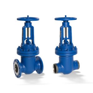 STAAL 40 AKD/AKDS gate shut-off valve