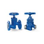BOA-H/HE/HV/HEV globe valve